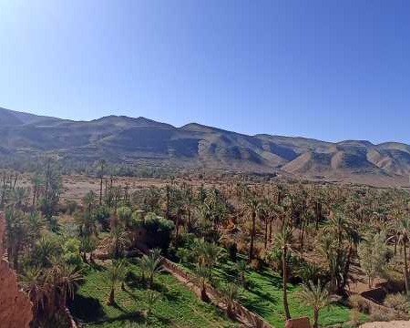 Excursion-Desert-Marrakech_285_1